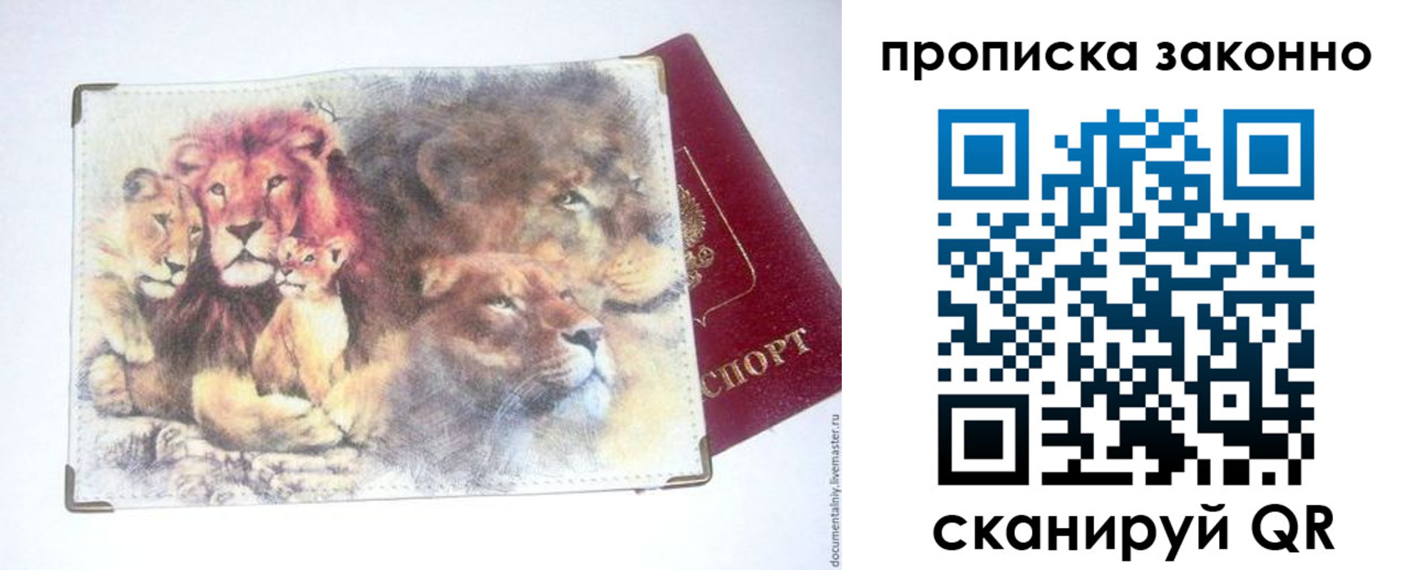 прописка от собственника в Топках